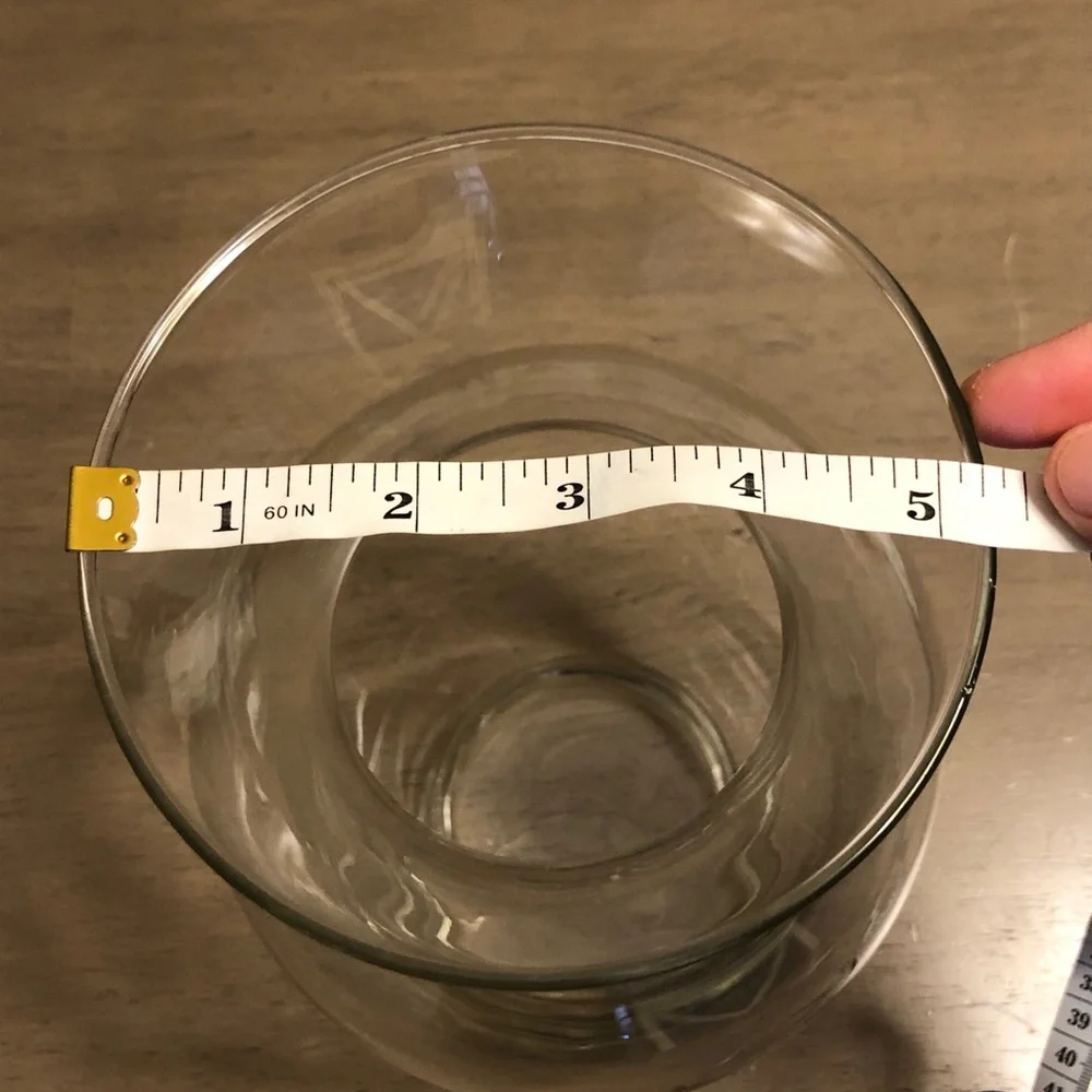 Elegant Clear Glass Flower Vase